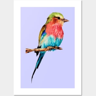 Lonely Colorful Bird On A Branch Posters and Art